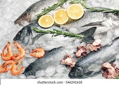 Frozen Fish And Seafood On Ice