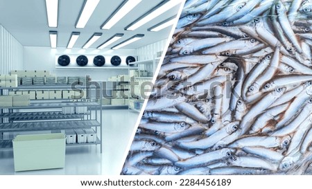 Frozen fish store. Warehouse with boxes. Warehouse of fish production. Freezing technologies. Food industry. Frozen fish in refrigerated warehouse. Seafood restaurant store. Cooling, cold
