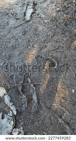 Frozen footprints in mud winterseason