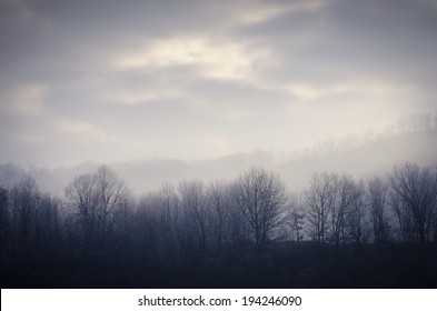 Frozen Forest In Cold Morning With Mist And Clouds On The Sky 