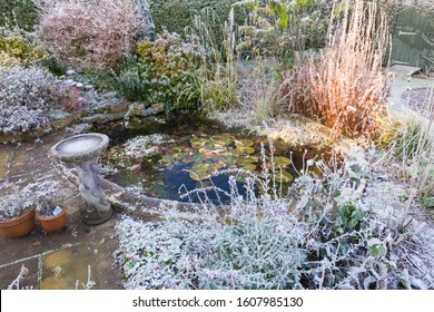 Frozen Garden Pond With Frost Covered Plants In Winter In England