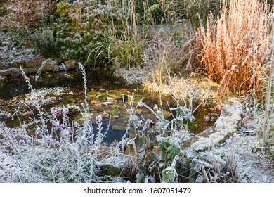 Frozen Garden Pond In Winter, England