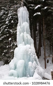 Frozen Geyser At The Forest