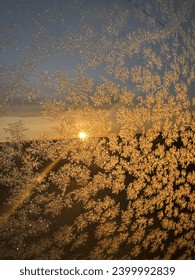 Frozen glass and sunrise! naturee