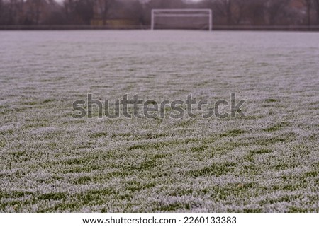 Frozen grass. Frost on the ground. Football Turf