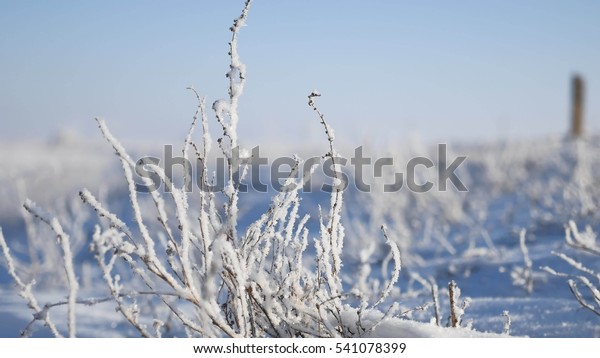 frozen grass next to the highway route travel winter\
movement of auto