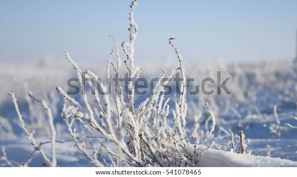 frozen grass next to the highway route travel winter\
movement of auto