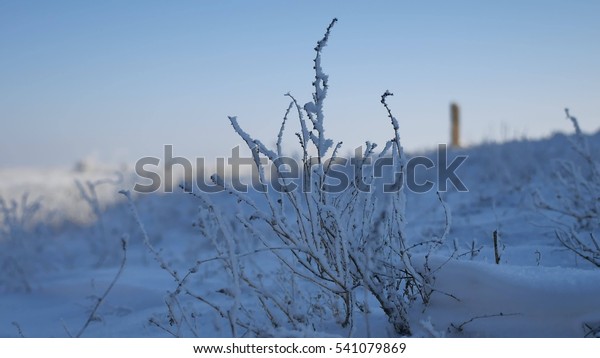 frozen grass next to the highway route travel\
movement of auto winter