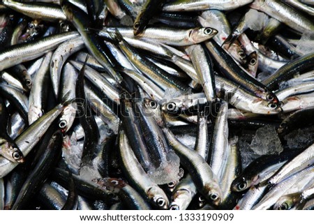 Similar – Image, Stock Photo ANCHOA CLUSTER Chrome