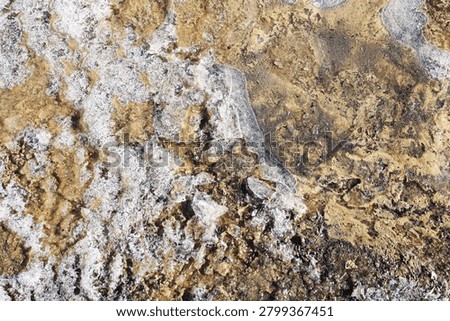Frozen ground texture with ice crystals and soil. Winter nature background. Abstract surface pattern created by frost cold weather and seasonal freezing conditions.