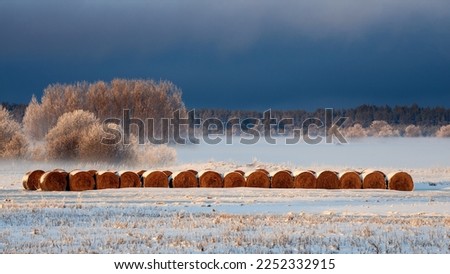 Frozen Hay Bales on snowy field with forest in the background on a foggy and cloudy cold winter day with beautiful evening light in Estonia