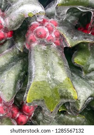 Frozen Holly Berry