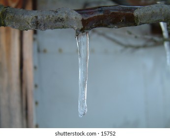 frozen ice branch