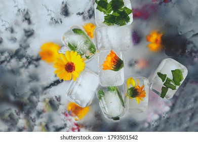 野菜包丁images Stock Photos Vectors Shutterstock