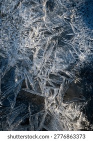 frozen ice patterns on the background of green grass of the previous year, spring in nature