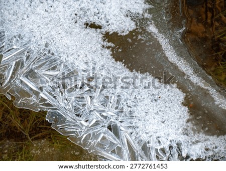 frozen ice patterns on the background of green grass of the previous year, spring in nature