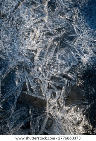 frozen ice patterns on the background of green grass of the previous year, spring in nature