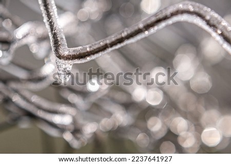 Frozen iron mesh fence, winter, ice, macro, december, january, frost