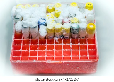 Frozen Laboratory Test Tubes In Box Container Without Freezer  In Research Lab. Microbank Pathogen; Stock In -70freezer.