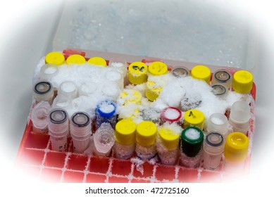 Frozen Laboratory Test Tubes In Box Container Without Freezer  In Research Lab.