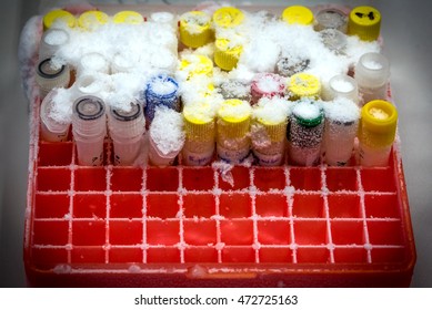 Frozen Laboratory Test Tubes In Box Container Without Freezer  In Research Lab.