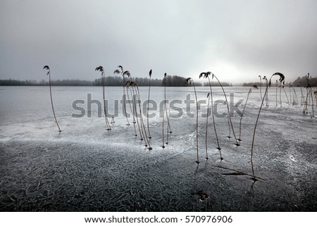 Image, Stock Photo Cuddly Horizon Sun Sunrise