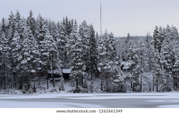 Frozen Lake Cabins Woods Cold Nature Stock Photo Edit Now 1262661349