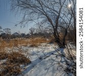 frozen lake. famous place. river in ice. reeds on the bank in ice. beautiful ice on the lake. winter natural landscape.