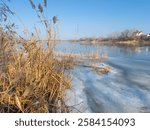 frozen lake. famous place. river in ice. reeds on the bank in ice. beautiful ice on the lake. winter natural landscape.