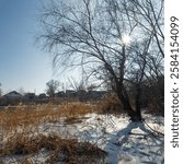 frozen lake. famous place. river in ice. reeds on the bank in ice. beautiful ice on the lake. winter natural landscape.