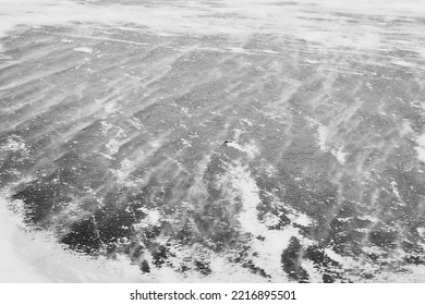 Frozen Lake. Ice. Leafs Trapped In Ice