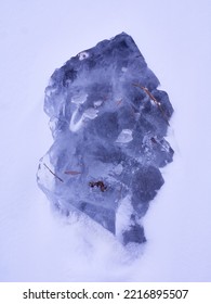 Frozen Lake. Ice. Leafs Trapped In Ice