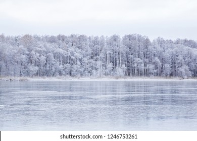 Frozen lake ice and snow covered trees in cloudy day. Cold winter time. Beautiful nature background.  - Powered by Shutterstock