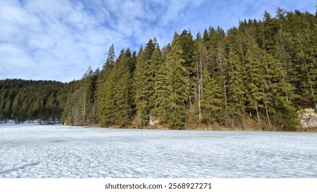 A frozen lake stretches towards a dense, evergreen forest. Snow covers the ice, creating a rippling texture. A blue sky with fluffy white clouds adds to the peaceful scene. Lacul Rosu - Romania - Powered by Shutterstock