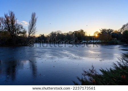A frozen lake at sunset. There is ice on the surface of the lake in this winter scene. A cold winter's day in Kelsey Park, Beckenham, Kent, UK.