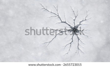 Frozen lake surface, patterns created by nature	