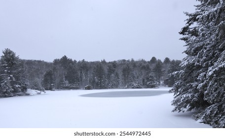 Frozen lake winter trees cabin - Powered by Shutterstock