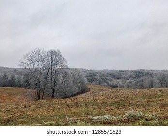 A Frozen Landscape