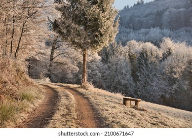 Frozen Landscape In The Ortenau Area In Germany