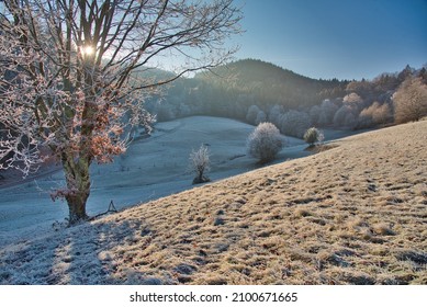 Frozen Landscape In The Ortenau Area In Germany