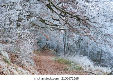 Frozen Landscape In The Ortenau Area In Germany