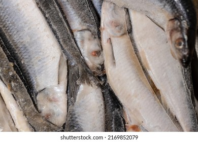 Frozen Large Herring, Ice Block Of Herring Fish.Frozen Background Or Texture.