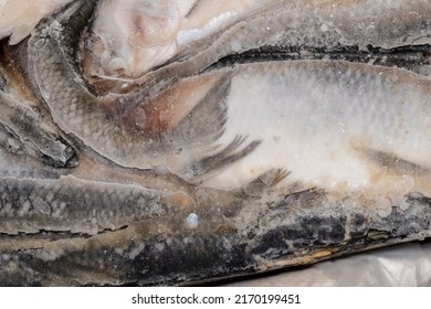 Frozen Large Herring, Ice Block Of Herring Fish.Frozen Background Or Texture.