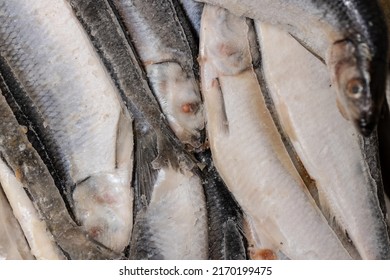 Frozen Large Herring, Ice Block Of Herring Fish.Frozen Background Or Texture.