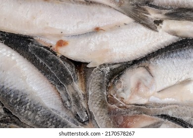 Frozen Large Herring, Ice Block Of Herring Fish.Frozen Background Or Texture.