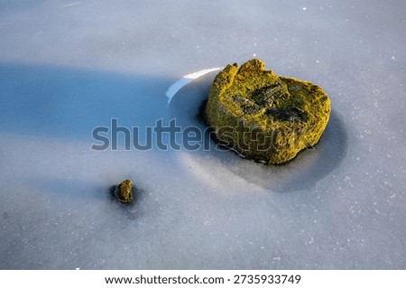 Frozen Leaf Trapped in Ice on Minimal Winter Surface. Minimal winter scene showing a dried leaf frozen into ice with surrounding meltwater. Clean composition, soft cold tones and large negative space create a calm, conceptual image suitable for themes of winter, nature, fragility, climate, isolation, environmental concepts and seasonal design.