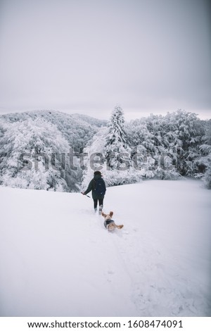 Similar – Image, Stock Photo Girl waiting at the side of the snowy mountain road looking down