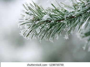 Frozen Nature Images, & Vectors | Shutterstock