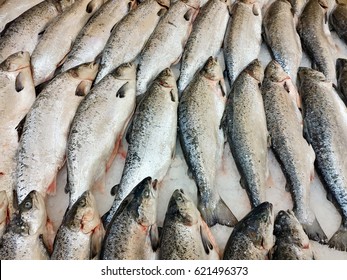 Frozen non boiled shrimps - Shutterstock ID 621496373