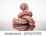 Frozen octopus on a white background. Raw iced seafood.  Selective focus